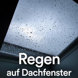 Regen auf Dachfenster Teil 12