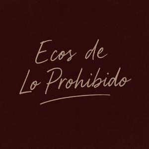 Podríamos Haber Sido