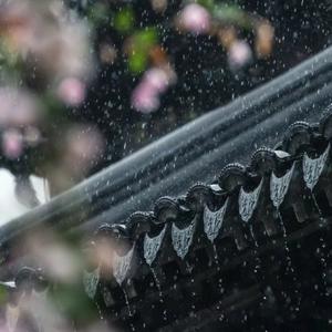 听雨眠