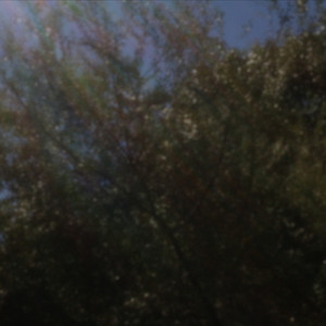 Untitled (no.3)