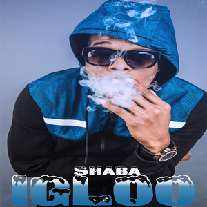Igloo