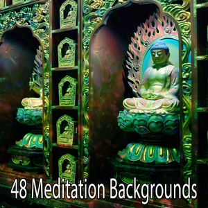 Soaring High with Hope