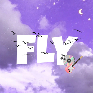 Fly