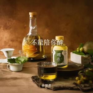 不能陪你醉(女版)