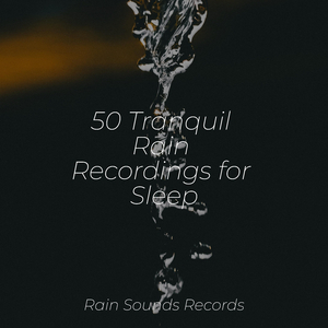 Feathered Wind Dance