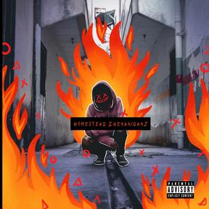 Homestead Zhenanigans (feat. LLaK Jone$)