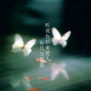 听说你后来爱人 有几分像我（抒情版）
