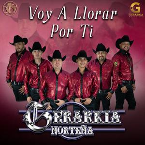 Voy A Llorar Por Ti