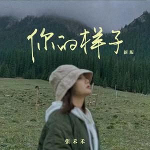 你的样子 (DJ阿卓版)