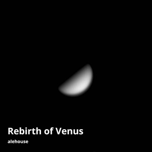 Rebirth of Venus