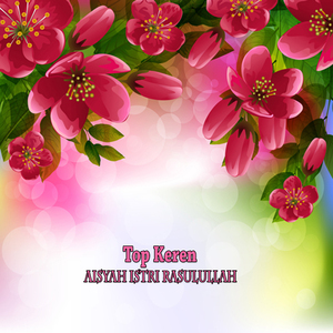 Aisyah Istri Rasulullah