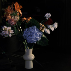 我的世界真的只有你