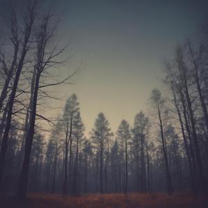 অন্তিম ডাক