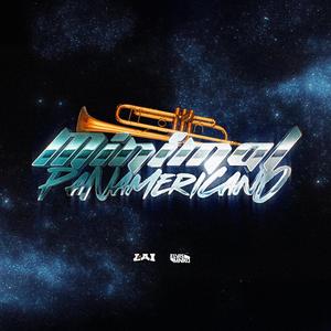 MINIMAL PANAMERICANO