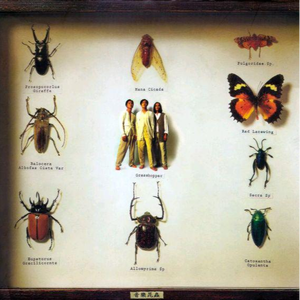 怎么天生不是女人