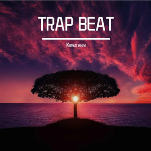 FREE TRAP TYPE 来展示你的flow