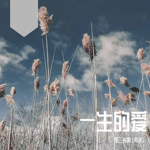 一生的爱