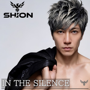 IN THE SILENCE