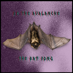 The Bat Song