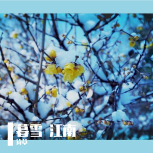 江南 暮雪