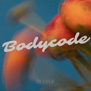 Bodycode