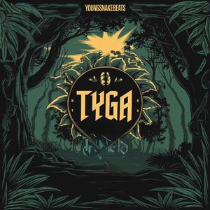 Tyga