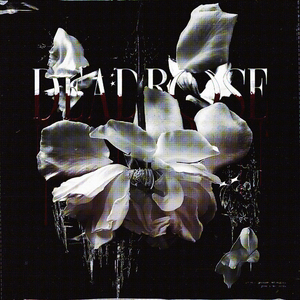 deadrose