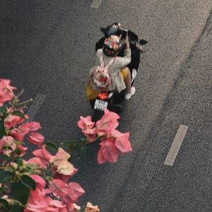 去有风的地方