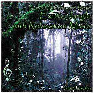 Natural Sounds with Music: Exotic Jungle with Relaxation Music