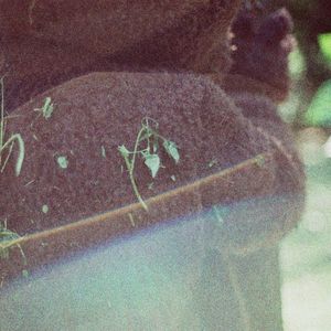 봄봄봄이 와요 (feat. 로코)