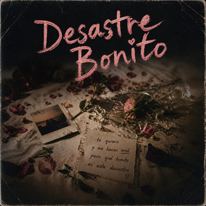 Desastre Bonito