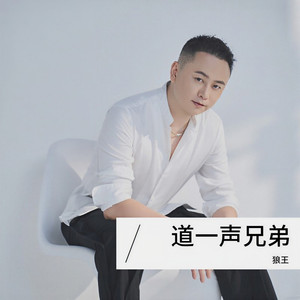 道一声兄弟 (DJ豪大大版)