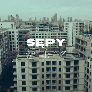 Sępy