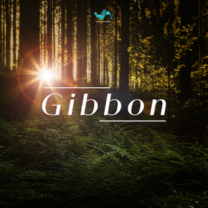 Gibbon