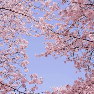 昨夜你把星辰投进我梦里（翻自 漫乐酶）