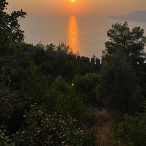 voittaja (feat. jäbä - sana hallussa)