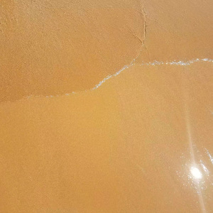 青春在红尘外徘徊