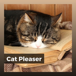 Ultimate Zen Music for Your Cat, Pt. 17