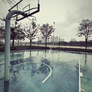 17岁的爱被搁浅