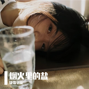 烟火里的盐 伴奏