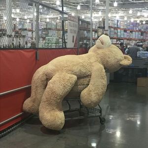 可能（cover李怡然同学）