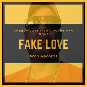 Fake Love (feat. Rothy Aka Kon)