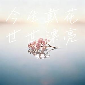 今生戴花世世漂亮 (Cover DJ小超)