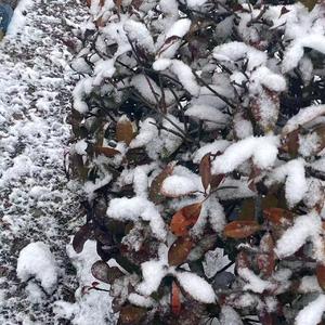 另一个世界一定是我们的天堂