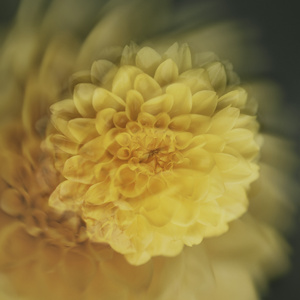 Париж Strings Orchestra Studio Live