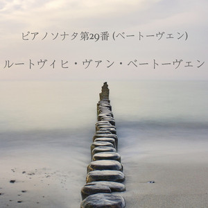 ソナタ 第 29 番 Bb メジャー (ハンマークラヴィーア)、作品 106 3 アリ