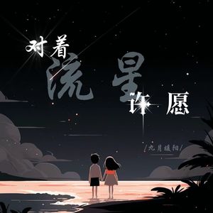 对着流星许愿