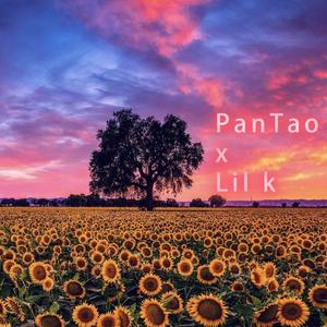 随遇而安(feat.lil k)