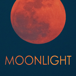 Symphony No. 9 in D Minor, Op. 125 "Choral":IV. Finale. Presto