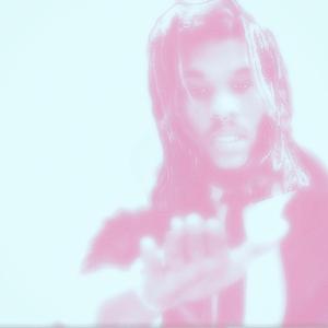 little lambs (oracal)